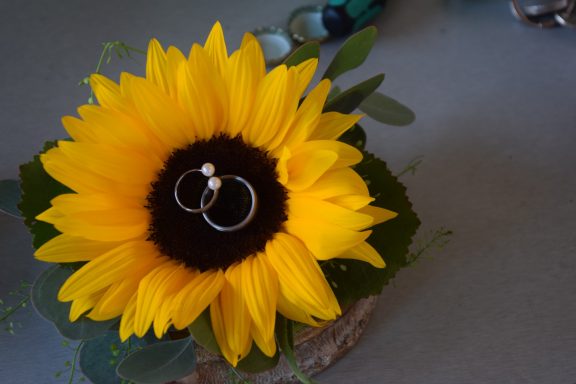 Ringkissen aus Sonnenblume