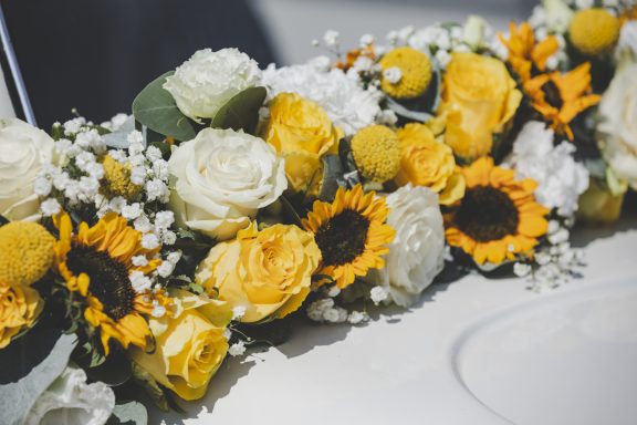 Sonnenblumen, gelb, weiß